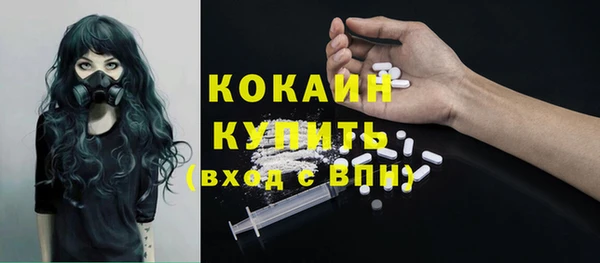 прущие грибы Лихославль