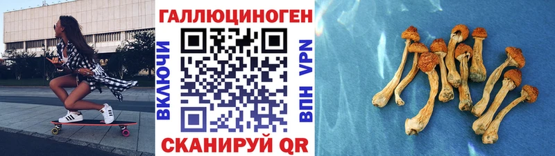 OMG зеркало Нововоронеж Псилоцибиновые грибы Cubensis дарнет шоп