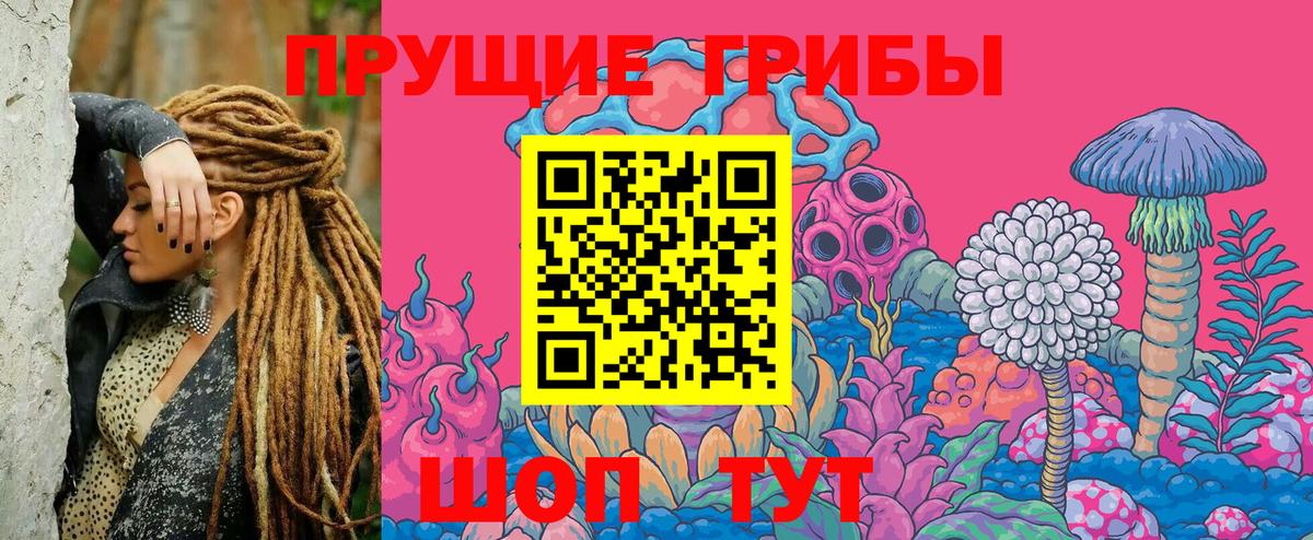 Нововоронеж  Псилоцибиновые грибы Psilocybe  продажа наркотиков  Вход с VPN 