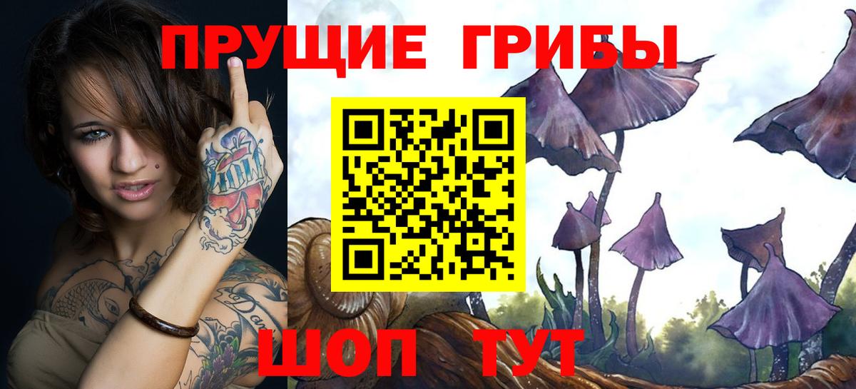 Псилоцибиновые грибы GOLDEN TEACHER Нововоронеж