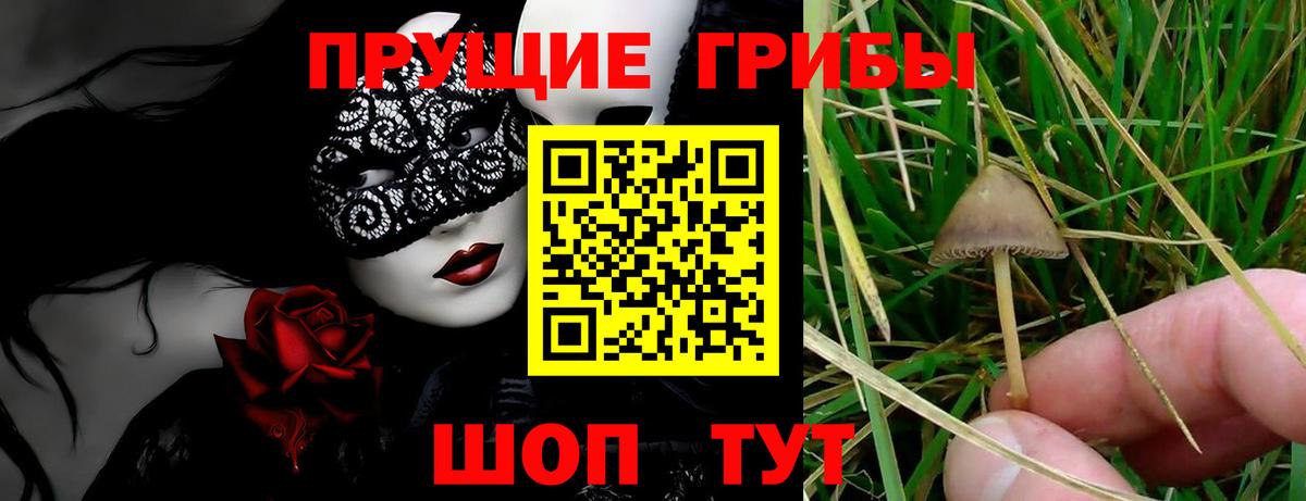 Галлюциногенные грибы GOLDEN TEACHER  Нововоронеж 